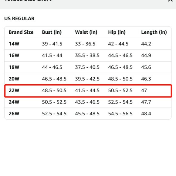 Talisea Sweetheart Long Sleeves Chiffon Cocktail Curvy Midi Dress (Sage, 22W) - Picture 5 of 5